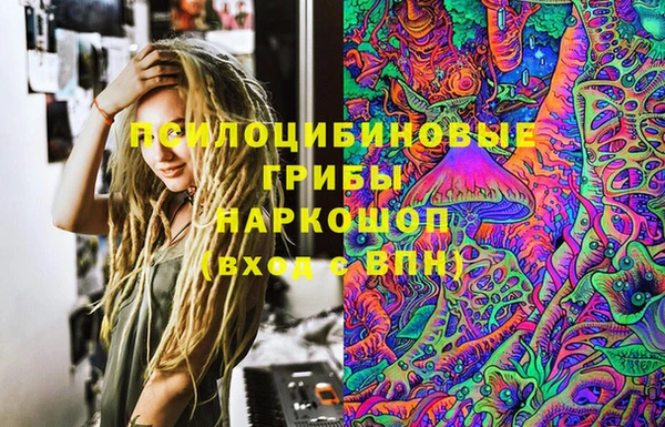 дживик Абаза