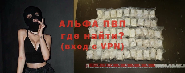 дживик Абаза