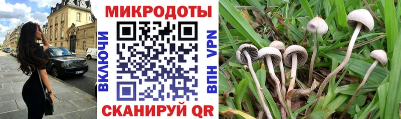 Галлюциногенные грибы GOLDEN TEACHER  купить наркотики цена  Химки 